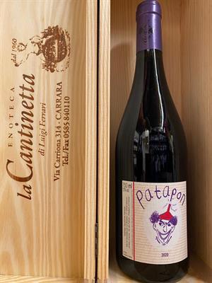 DOMAINE LE BRISEAU PATAPON ROUGE COTEAUX DU LOIRE PINEAU D'AUNIS 2020