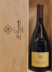PINOT NERO ALTO ADIGE DOC 2024 CANTINA TERLANO