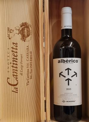 VERMENTINO DOC CANDIA ALBÈRICO COLLI APUANI 2023 MONTEPEPE