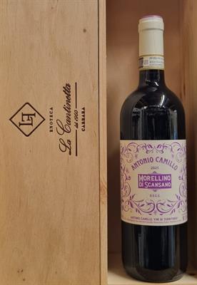 MORELLINO DI SCANSANO COTOZZINO DOCG 2023 ANTONIO CAMILLO