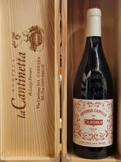 CILIEGIOLO PRINCIPIO MAREMMA TOSCANA IGT 2023 ANTONIO CAMILLO