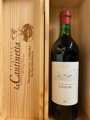TEROLDEGO FORADORI IGT VIGNETI DELLE DOLOMITI 2020 ELISABETTA FORADORI