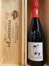 DOMAINE LE BRISEAU SO WHAT! FRIZZANTE NATURALE NATHALIE GAUBICHIER