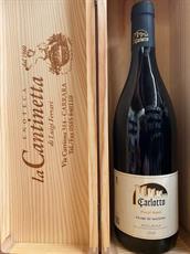 PINOT NERO FILARI DI MAZZON DOC ALTO ADIGE FERRUCCIO CARLOTTO 2020