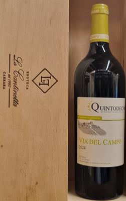 QUINTODECIMO VIA DEL CAMPO DOCG FALANGHINA 2024
