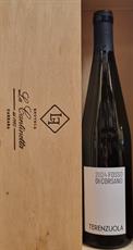 VERMENTINO SUPERIORE DOC COLLI DI LUNI 2024 FOSSO DI CORSANO TERENZUOLA