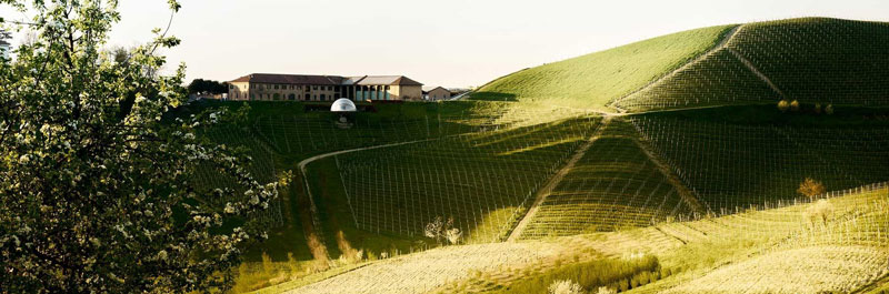 ceretto-cantina