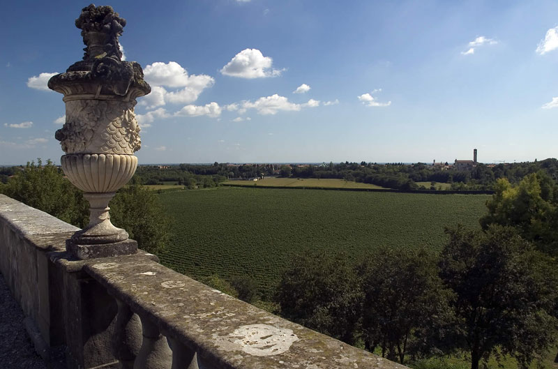 marchese-antinori-montenisa-cantina