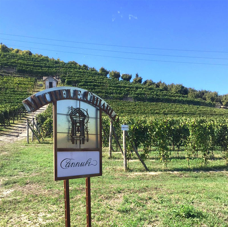 michelechiarlo_cantina